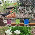 La Maison Laborey - Du Plateau ديجون