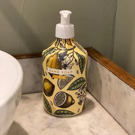 La Maison Laborey, Gite 4 Etoiles Avec Piscine Dijon