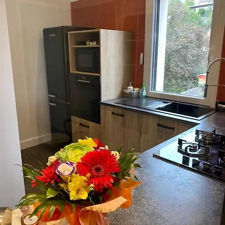 Proche Centre Ville, 4 Etoiles Avec Piscine