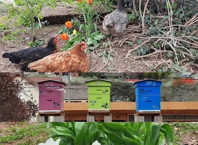 La Maison Laborey - Gite Du Plateau Dijon